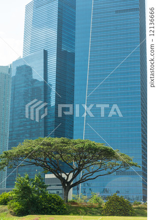 Buildings in Singapore skyline 12136666