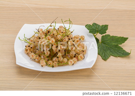 White currant White currant 12136671