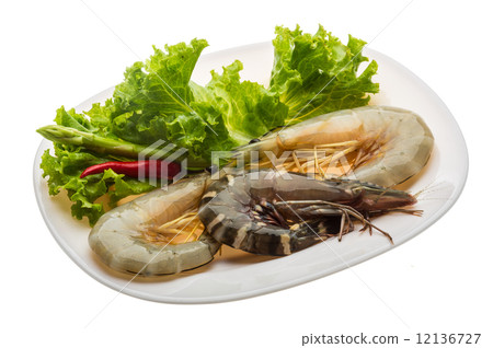 King and waterleg shrimps 12136727