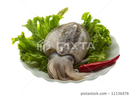 Raw cuttlefish 12136876
