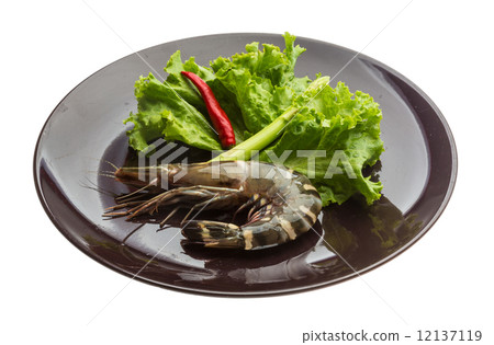 Tiger prawn 12137119