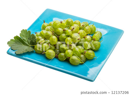 Gooseberries Gooseberries 12137206