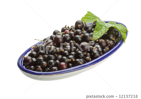 Black currant Black currant 12137218