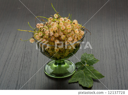 White currant White currant 12137728