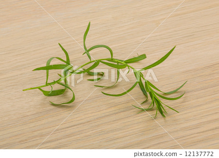 Tarragon leaves Tarragon leaves 12137772
