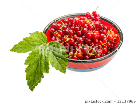 Red currant Red currant 12137969