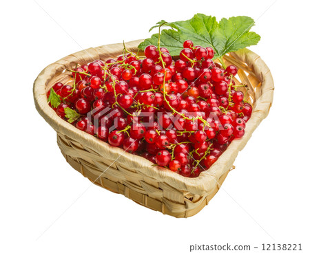 Red currant Red currant 12138221