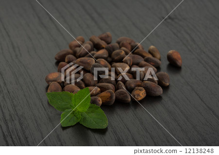 Cedar nuts 12138248