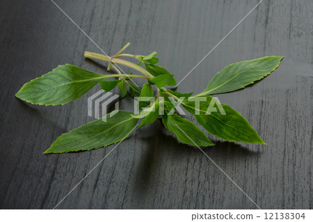 Bergamot leaves 12138304