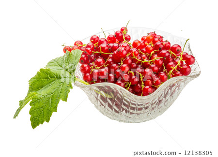 Red currant Red currant 12138305