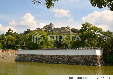 Marugame castle in early autumn 12143083