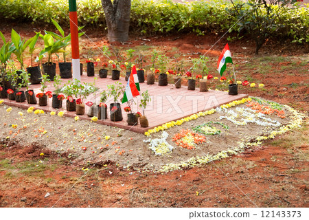 Republic Day 2010 12143373
