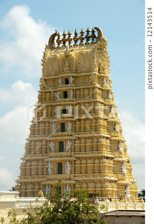 Indian Temple 12143514
