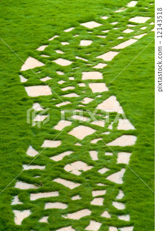 Garden pathway 12143518