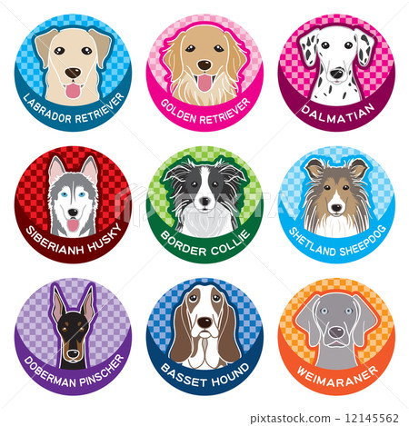 狗/銘牌 狗/銘牌 12145562