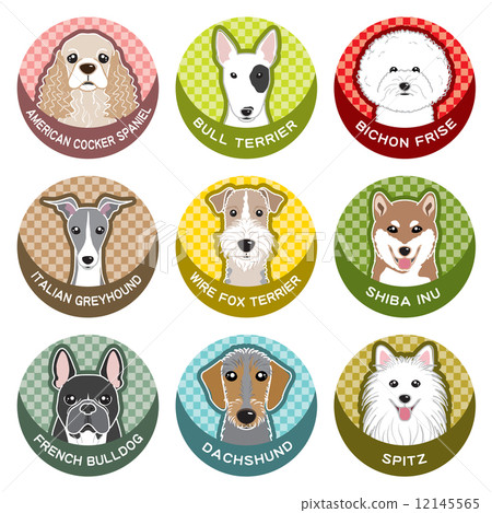 Dog / Nameplate 12145565