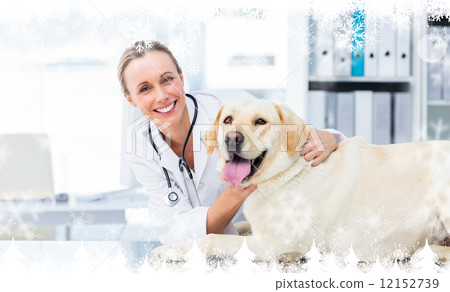 Composite image of female veterinarian examining dog Composite image of female veterinarian examining dog 12152739