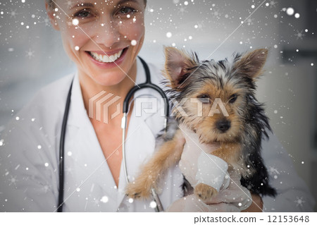 Composite image of smiling female vet holding cute puppy Composite image of smiling female vet holding cute puppy 12153648