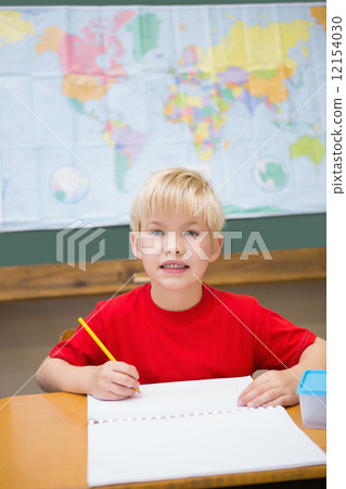 Cute pupil smiling at camera in classroom at his desk 12154030