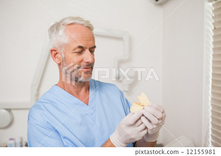 Dentist in blue scrubs looking at mouth model Dentist in blue scrubs looking at mouth model 12155981