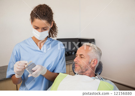 Dentist showing patient model of teeth 12156880