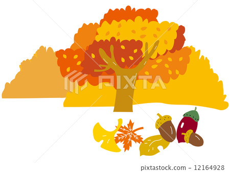 與秋葉和下落的葉子和橡子的一棵樹 與秋葉和下落的葉子和橡子的一棵樹 12164928