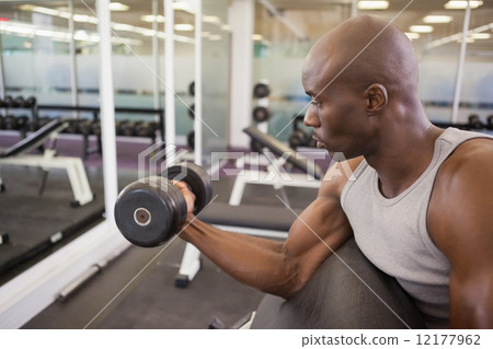 Muscular man exercising with dumbbell Muscular man exercising with dumbbell 12177962
