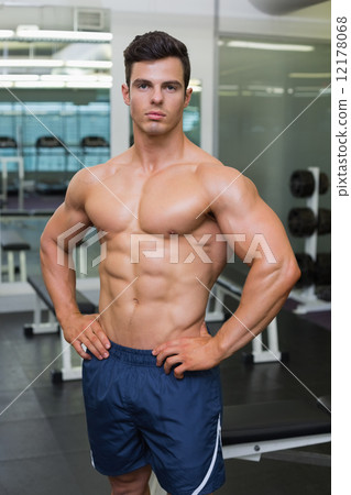 Shirtless muscular man in gym Shirtless muscular man in gym 12178068