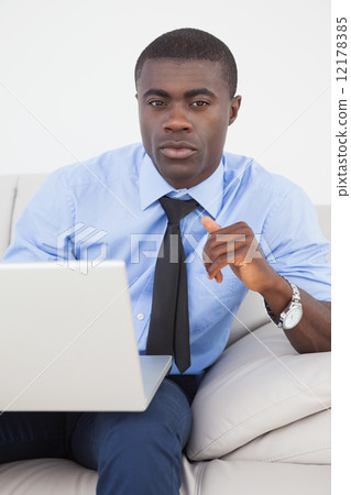 Handsome businessman using laptop on sofa 12178385
