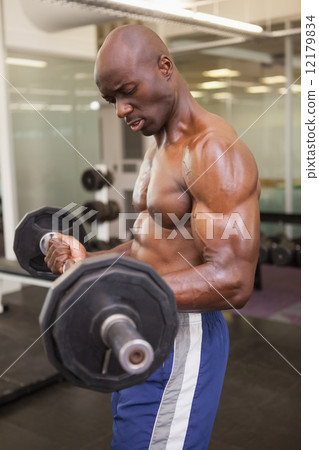 Muscular man lifting barbell in gym 12179834