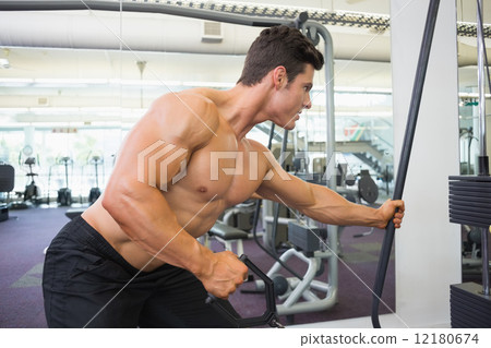 Shirtless muscular man using resistance band in gym Shirtless muscular man using resistance band in gym 12180674