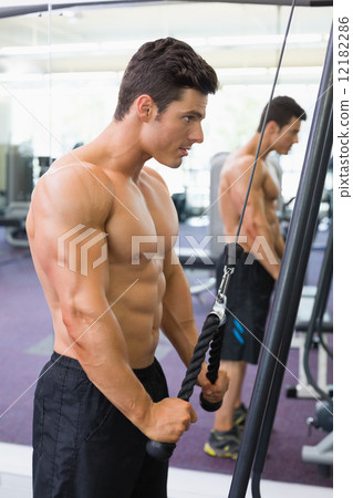 Shirtless muscular man using triceps pull down in gym 12182286