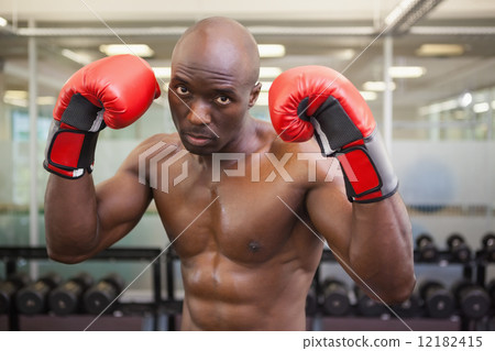 Shirtless muscular boxer in health club Shirtless muscular boxer in health club 12182415