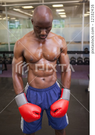 Muscular boxer in health club 12182416
