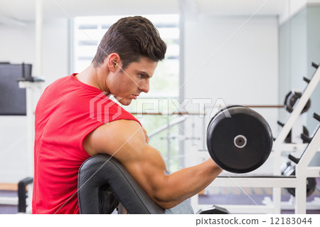 Muscular man exercising with dumbbell in gym 12183044
