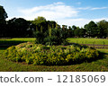 The first flower bed of Hibiya Park 12185069