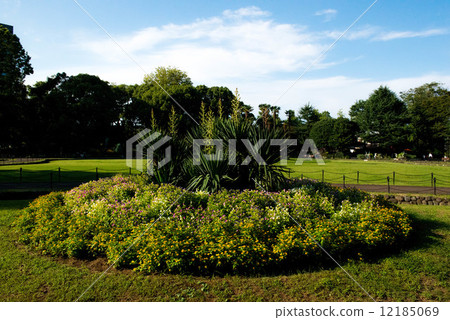 The first flower bed of Hibiya Park The first flower bed of Hibiya Park 12185069