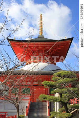 中山-DERA 12185563