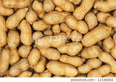 Dry roasted peanuts. Dry roasted peanuts. 12186668