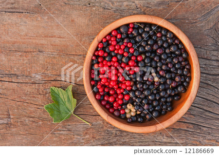 Sweet, black and red currant and green leaves in wooden bowl. Sweet, black and red currant and green leaves in wooden bowl. 12186669