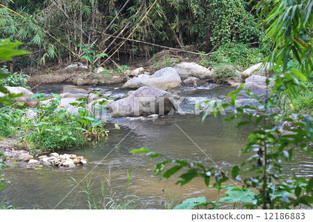 stream6 stream6 12186883