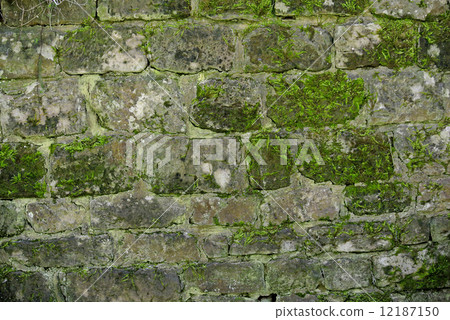 Medieval wall of a castle 12187150