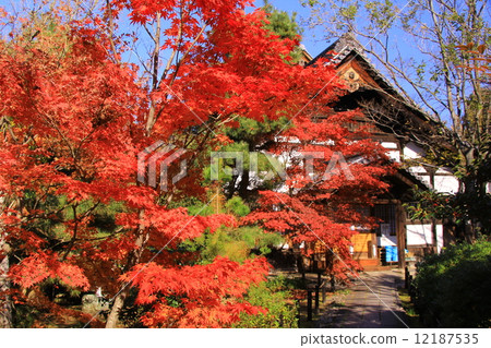 Koyoji temple (Kyoto) Autumn leaves in front of Saga Shakado Koyoji temple (Kyoto) Autumn leaves in front of Saga Shakado 12187535