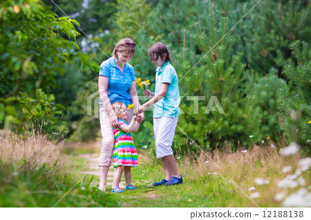 Family hiking in a pine wood Family hiking in a pine wood 12188138
