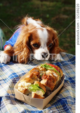 Good taste ~~ Good taste ~~ 12189220