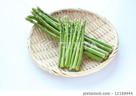 Mini aspara 12189444