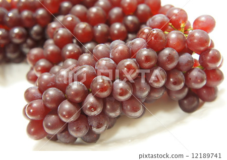 Grape 12189741
