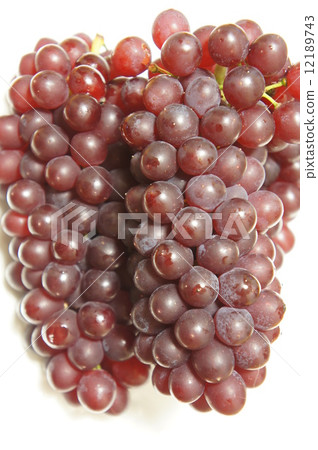 Grape 12189743