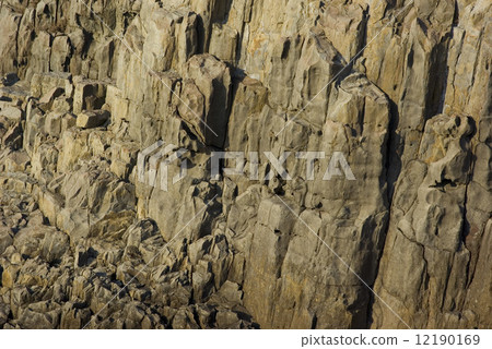 Tojinbo的柱狀關節 12190169