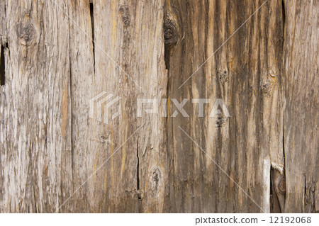 Old timber Old timber 12192068